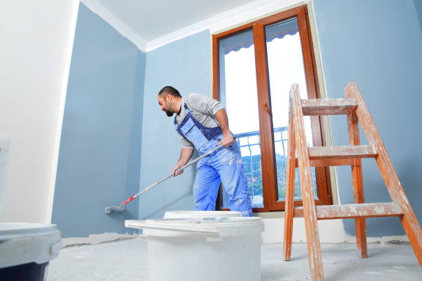 Best Emergency Mold Remediation  in Rochelle, GA