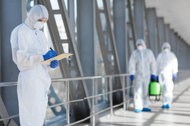 Best Mold Damage Restoration  in Rochelle, GA