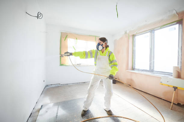 Best Mold Remediation for Vacation Homes  in Rochelle, GA
