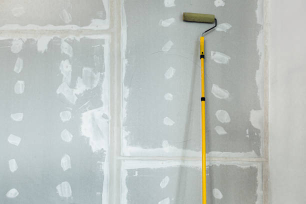 Best Industrial Mold Remediation  in Rochelle, GA