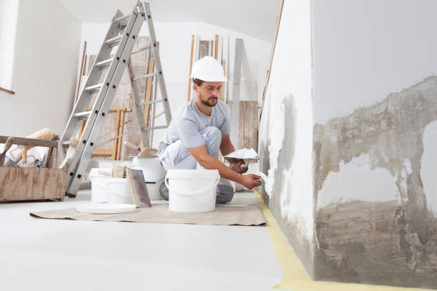 Best Black Mold Removal  in Rochelle, GA