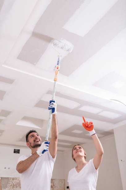 Best Attic Mold Removal  in Rochelle, GA