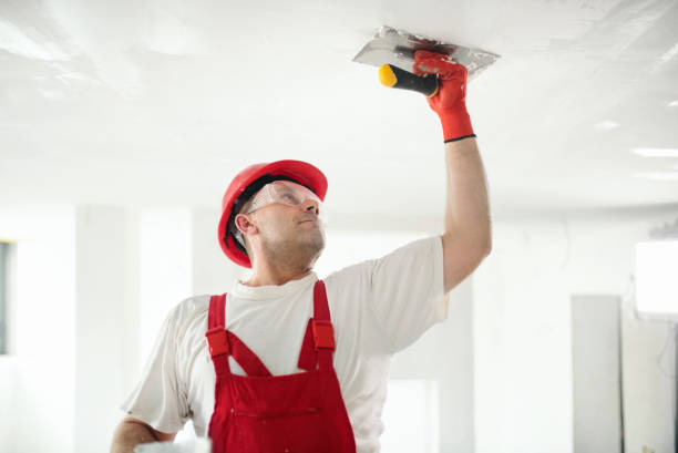 Best Residential Mold Inspection & Testing  in Rochelle, GA