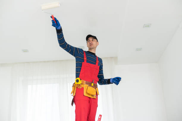 Best Environmental Consulting for Mold Prevention  in Rochelle, GA
