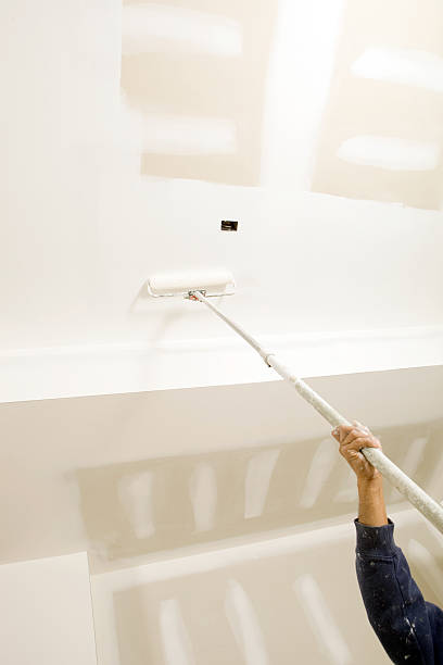 Best Black Mold Removal  in Rochelle, GA