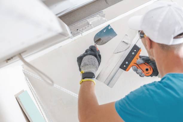 Best Basement Mold Removal  in Rochelle, GA